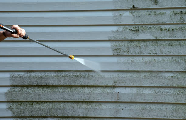 Best Deck Cleaning Services  in Chackbay, LA