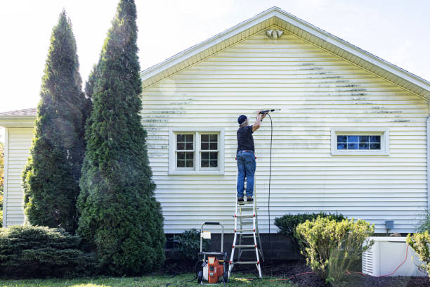 Best Best Pressure Washing Companies  in Chackbay, LA
