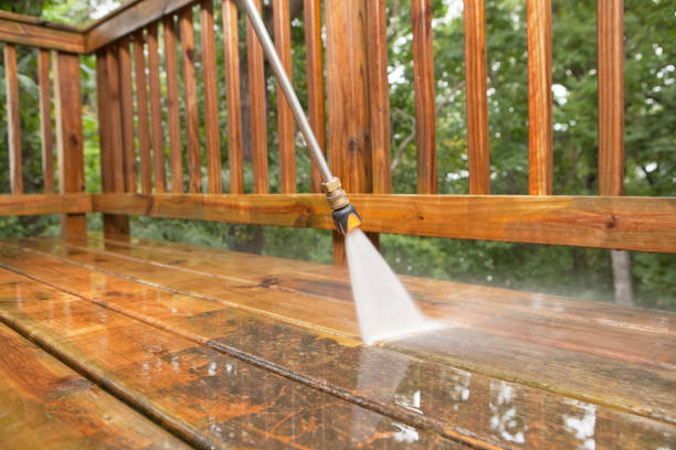 Best Residential Pressure Washing Services  in Chackbay, LA